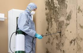 Reliable Lake Worth, TX Mold Prevention & Removal  Solutions